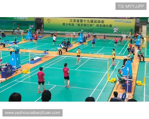 南京羽毛球队区域防守分析：优劣势及其对比赛结果的影响探讨
